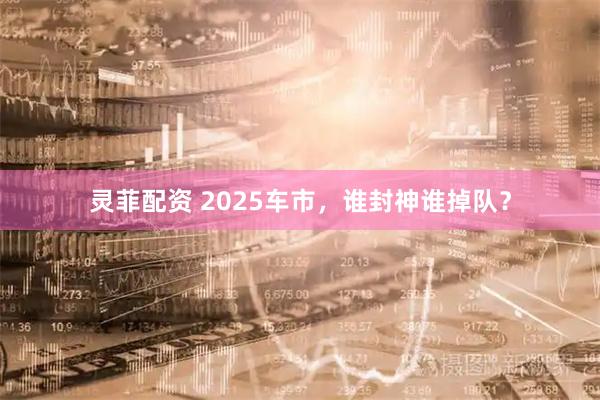 灵菲配资 2025车市，谁封神谁掉队？