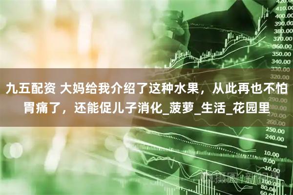 九五配资 大妈给我介绍了这种水果，从此再也不怕胃痛了，还能促儿子消化_菠萝_生活_花园里